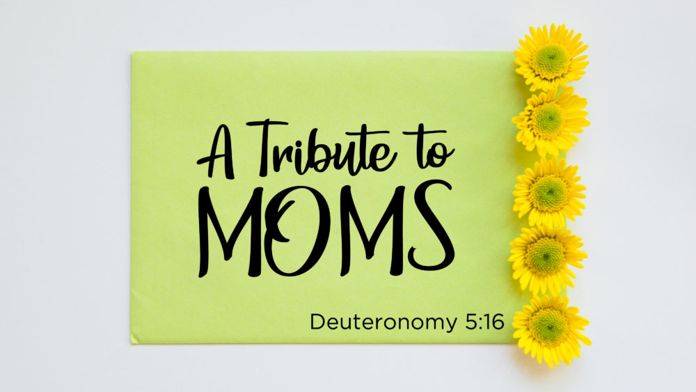 A Tribute to Moms