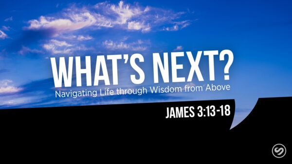 What's Next? Navigating Life through Wisdom from Above Image