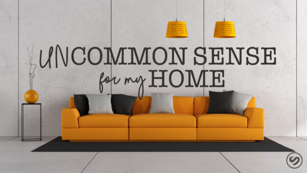 Uncommon Sense for My Home